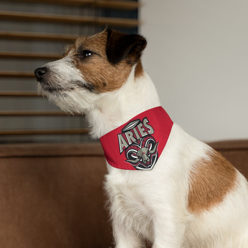 Aries Pet Bandana Collar