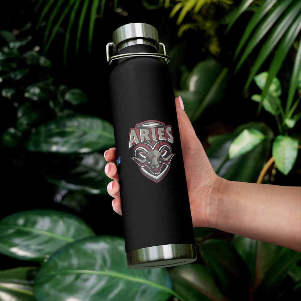 Aries 22oz Vacuum Insulated Bottle