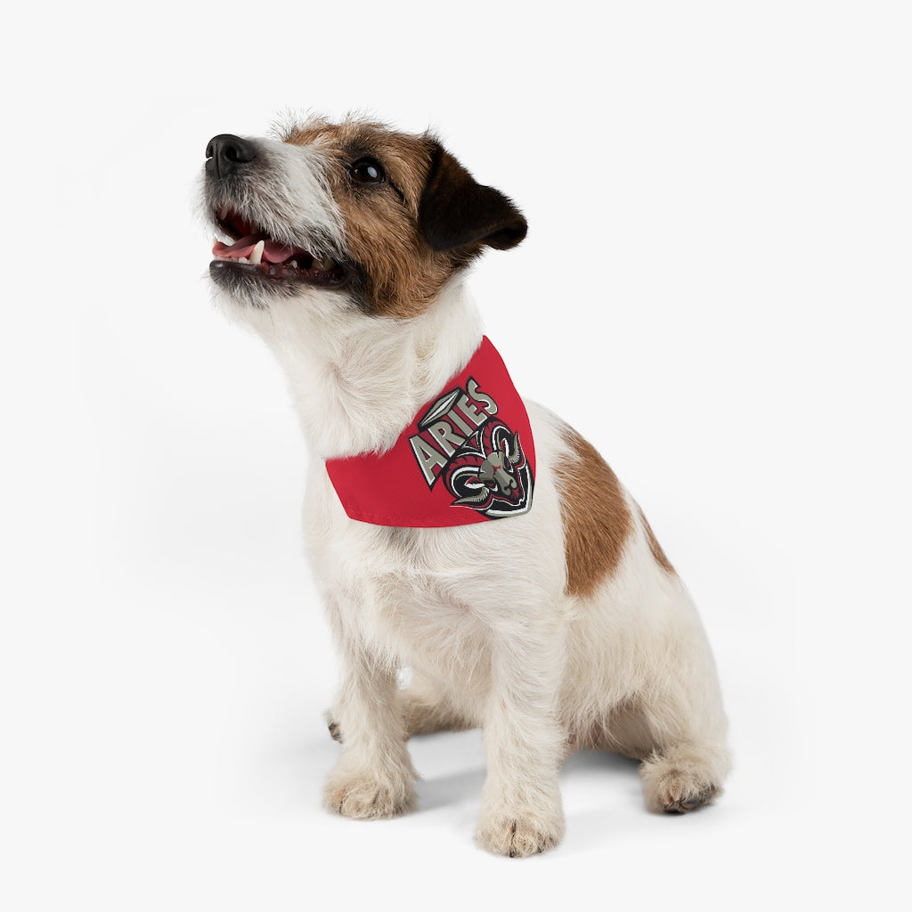 Aries Pet Bandana Collar